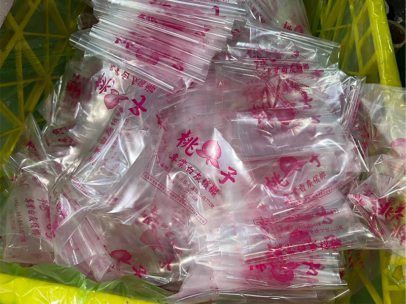槟榔摊包装用槟榔夹链袋 - 温晟塑胶槟榔袋客制化单面印刷一色